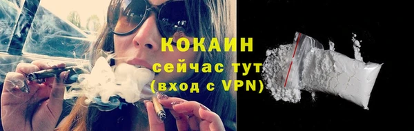 дживик Карпинск