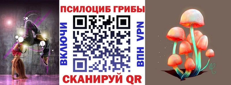 Галлюциногенные грибы мицелий  Купить где  Менделеевск 